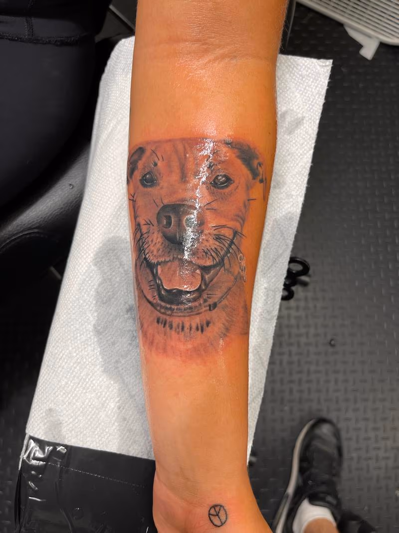 Dog