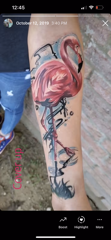 Flamingo