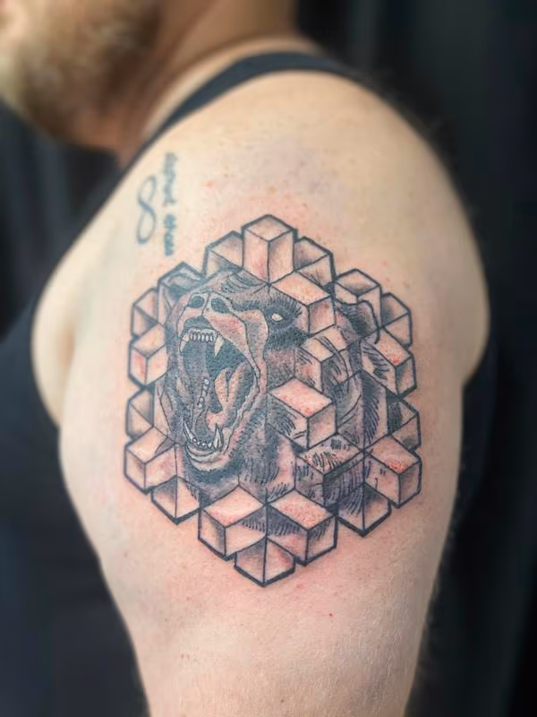 Geometric bear