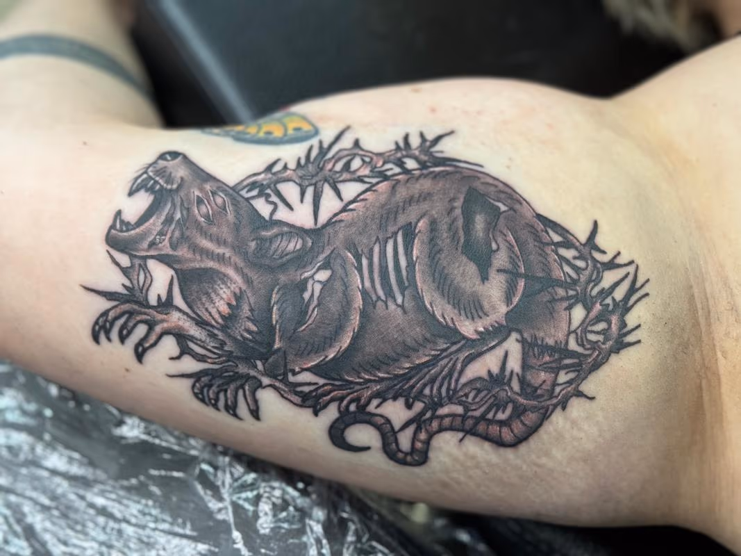 Rat