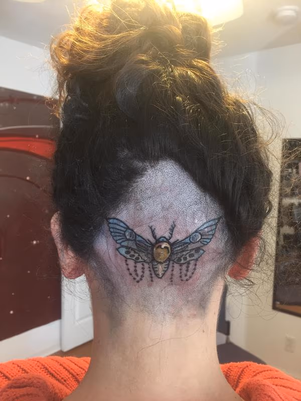 Moth