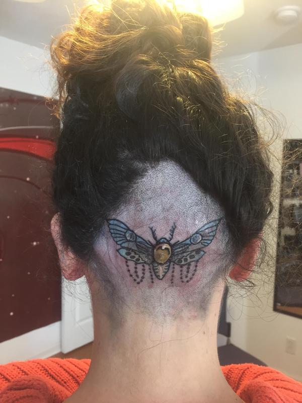 Moth