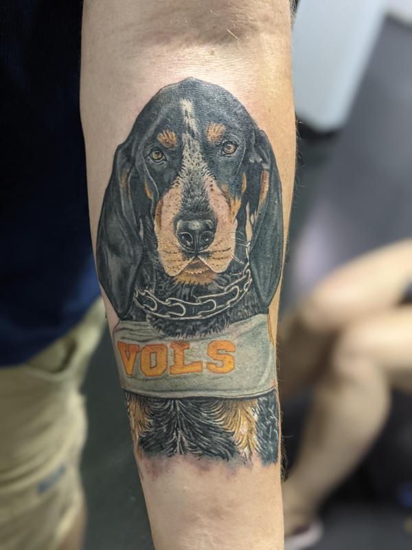 Dog portrait
