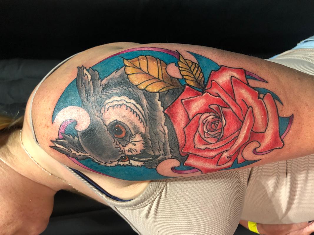 Owl n rose