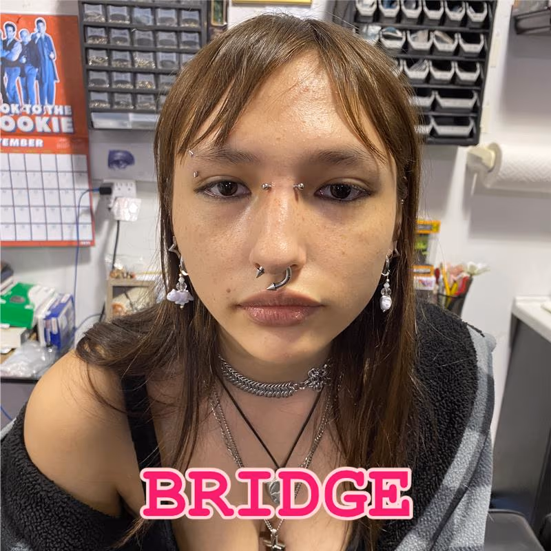 Bridge