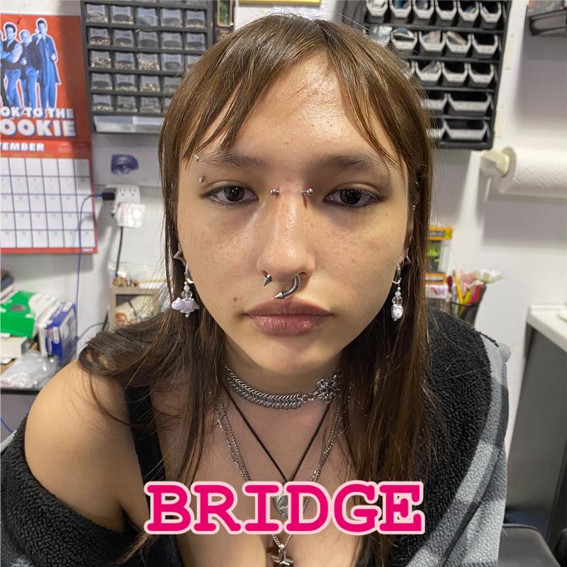 Bridge