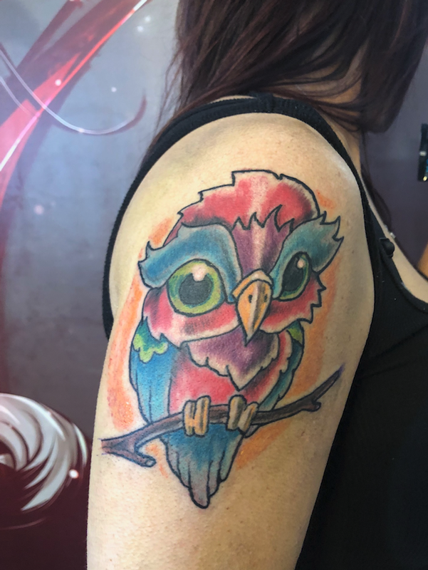 owl