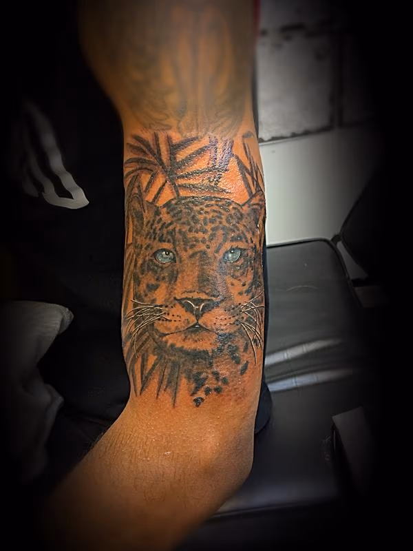 Cheetah