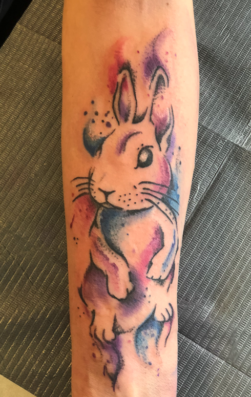 bunny