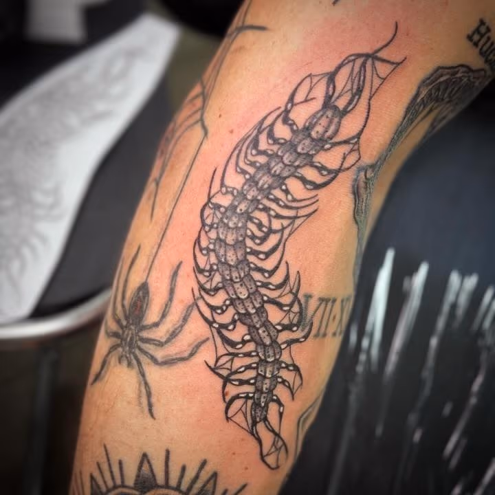 Centipede