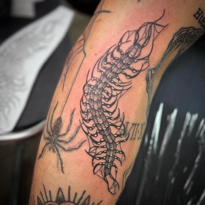 Centipede