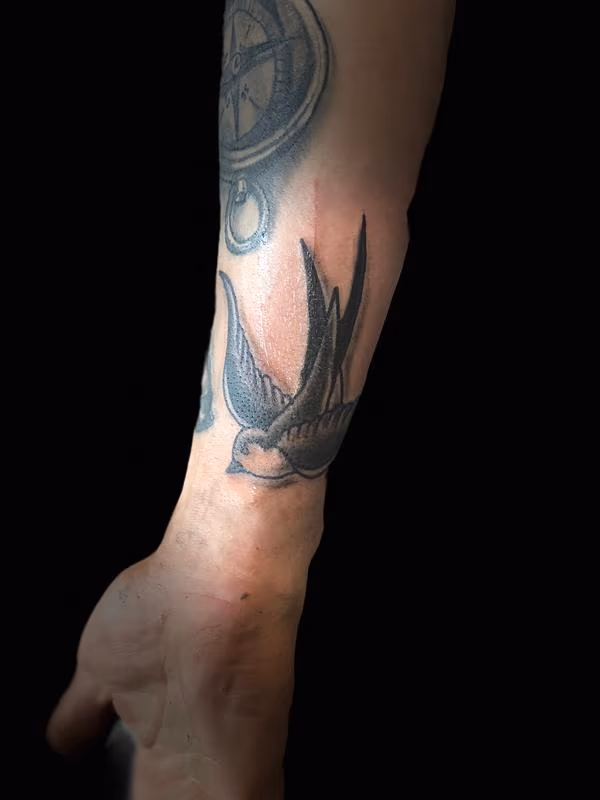 sparrow