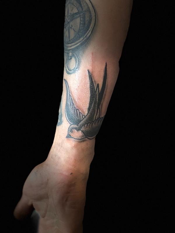 sparrow