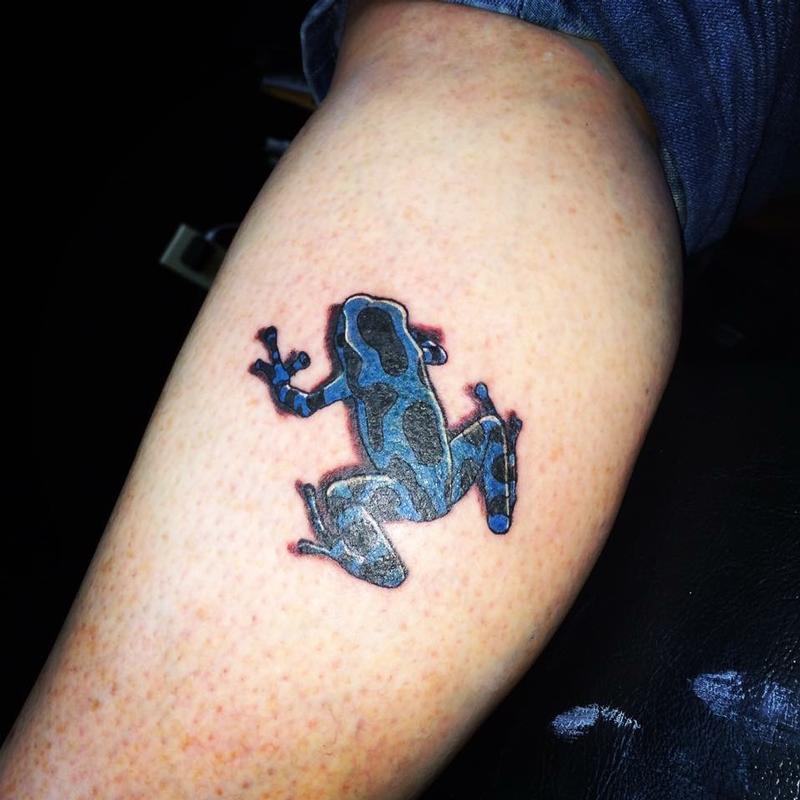 Tree frog