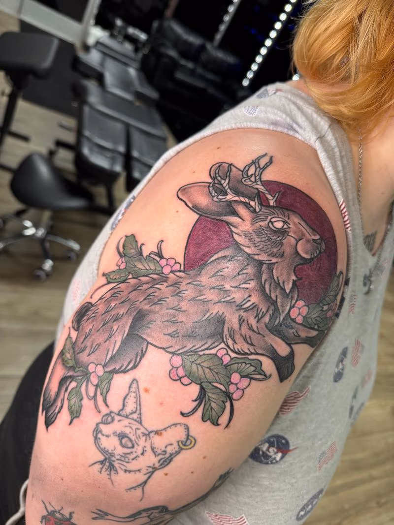 Rabbit
