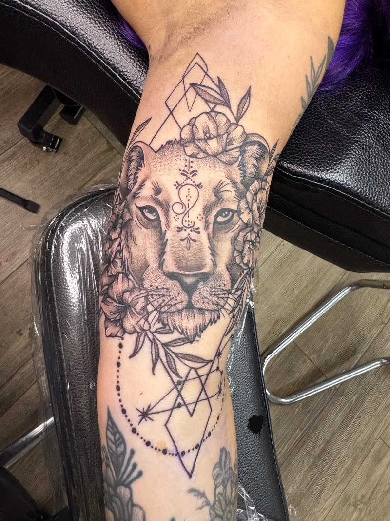 Lioness
