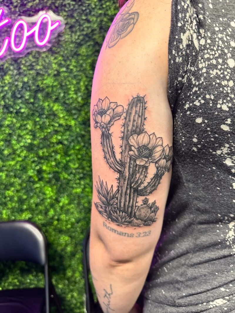 Cactus