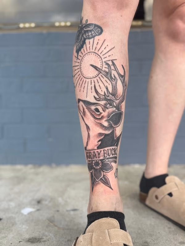 Deer
