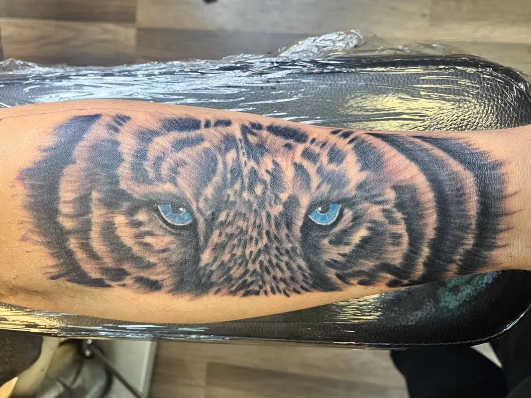 Tiger eyes
