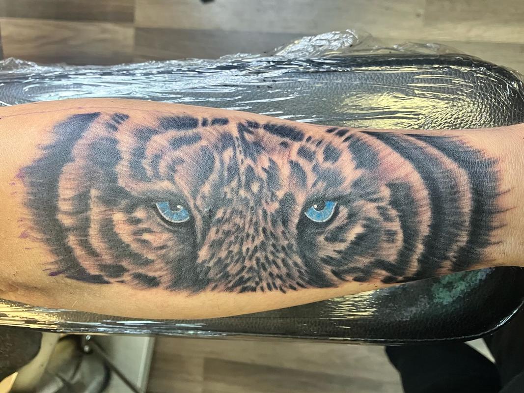 Tiger eyes