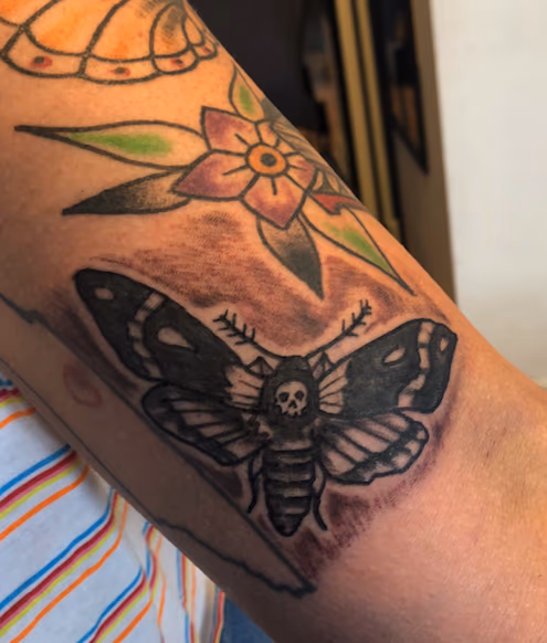 moth