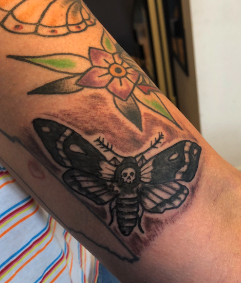 moth