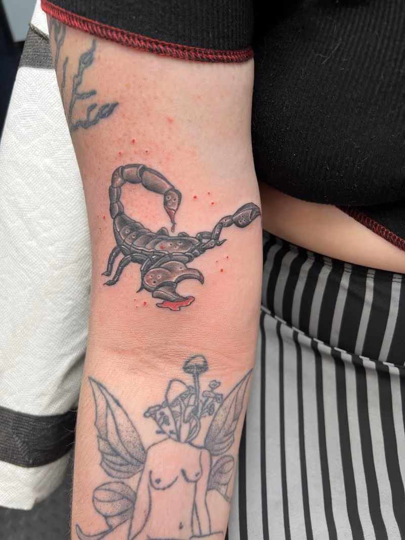 Scorpion