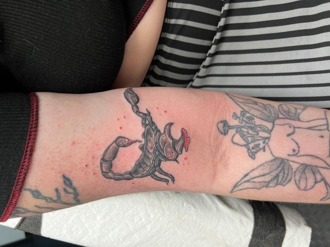 Scorpion
