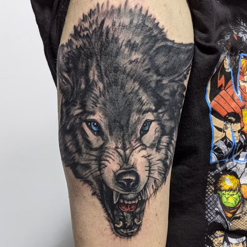 Wolf portrait