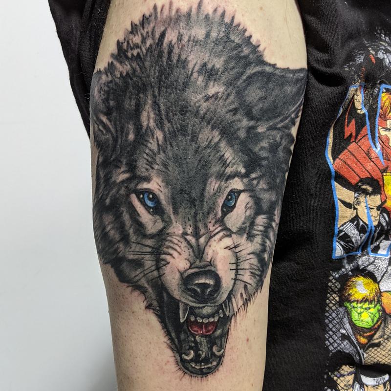 Wolf portrait