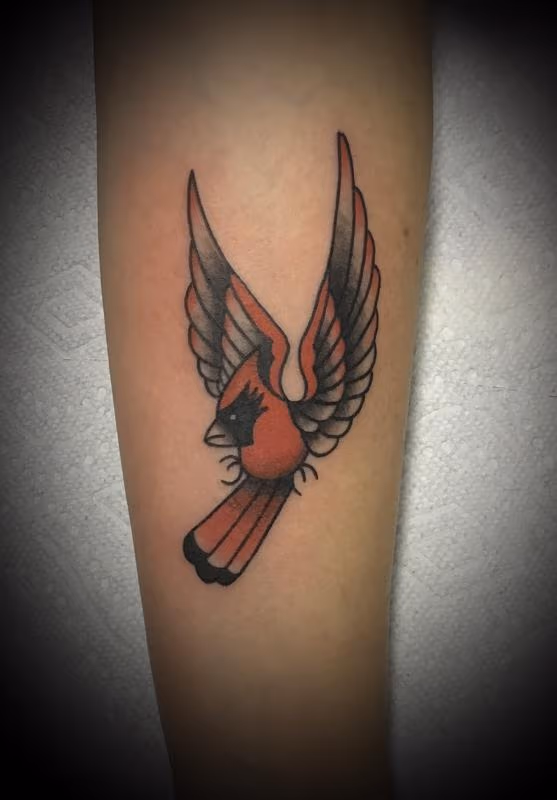 Cardinal Tattoo traditional