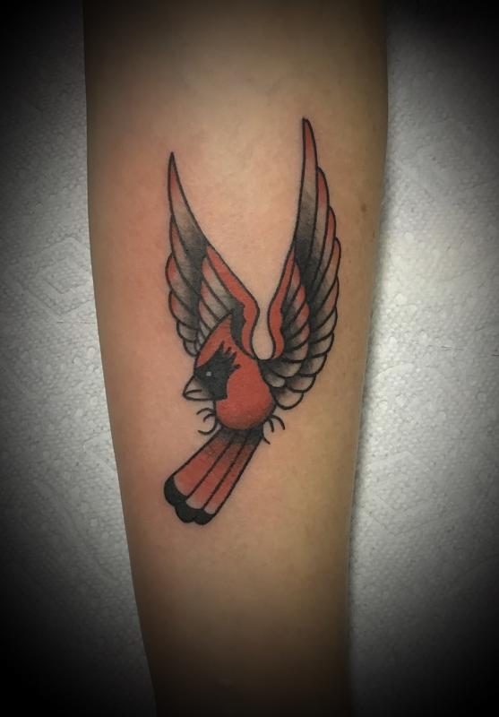 Cardinal Tattoo traditional