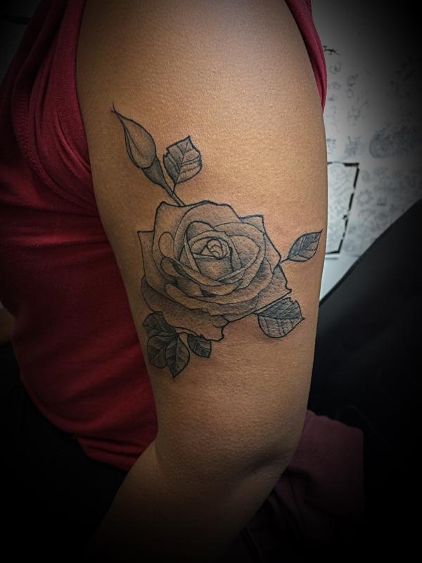 Roses