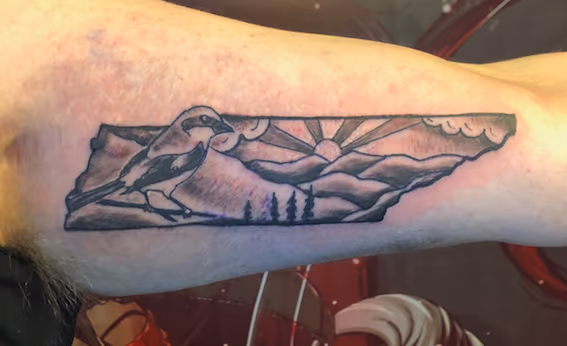 tennessee mocking bird