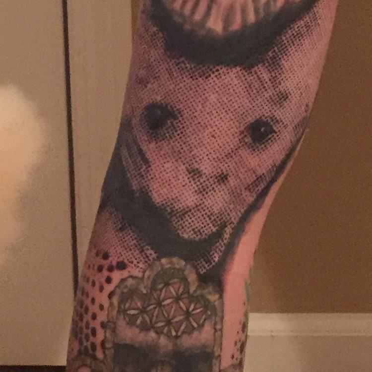 Dotwork sphynx