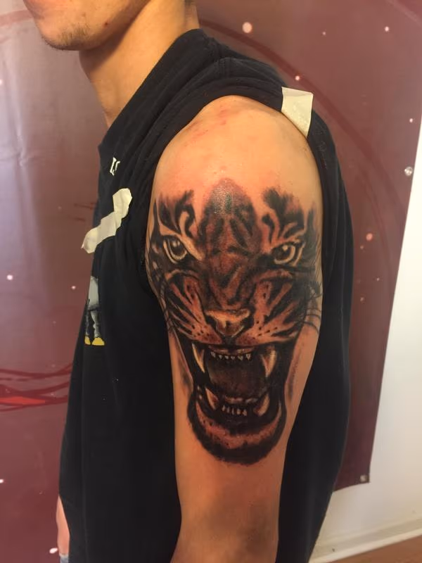Tiger