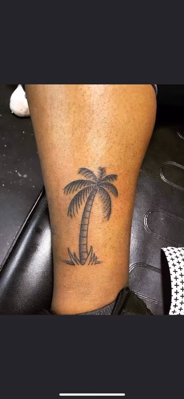 Palm tree