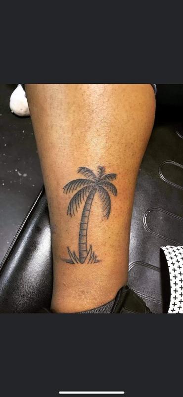 Palm tree