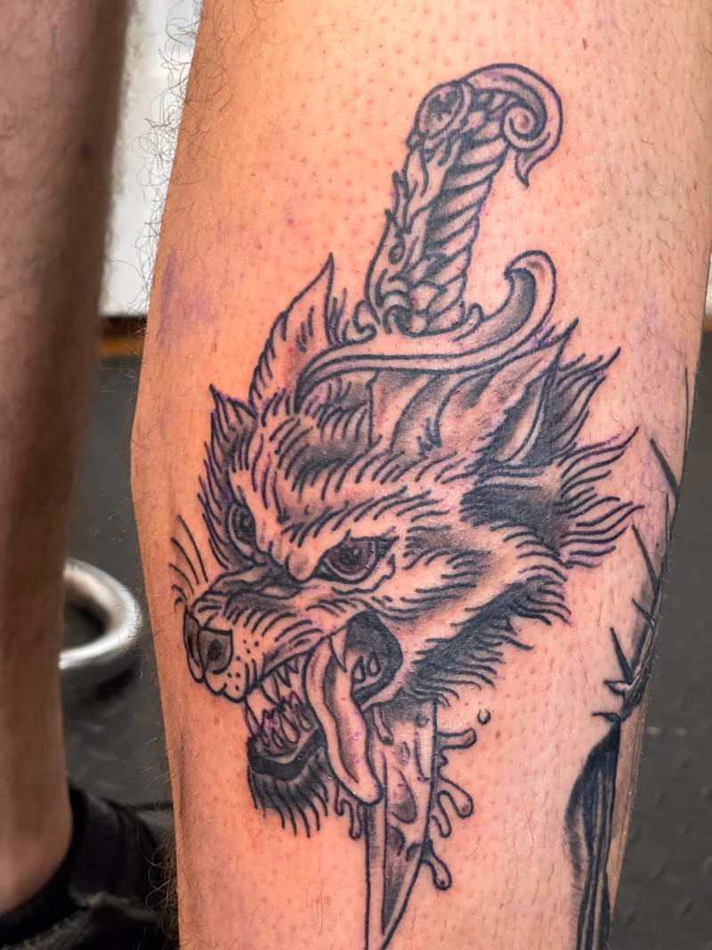 Wolf
