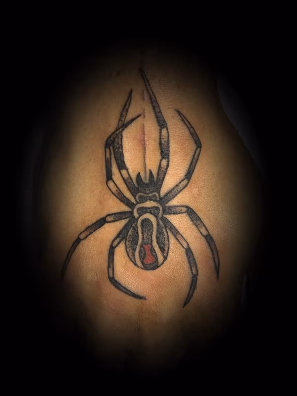 Spider