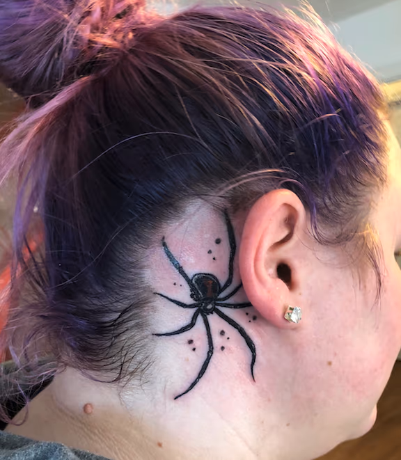 spider coverup