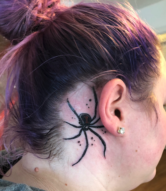 spider coverup