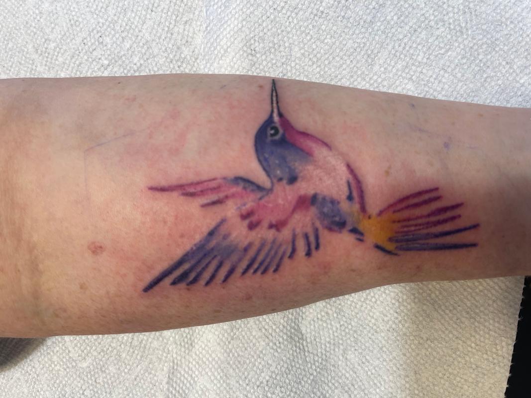 Watercolor hummingbird
