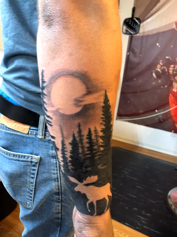 Moose scene