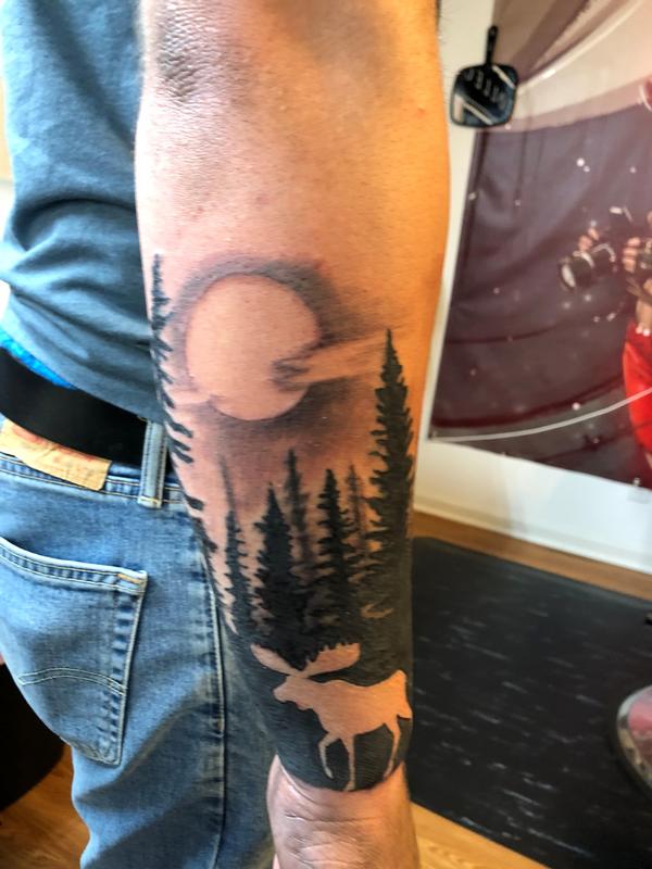 Moose scene
