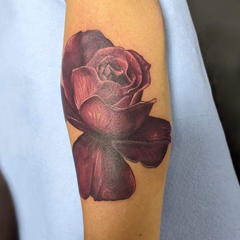 untitled