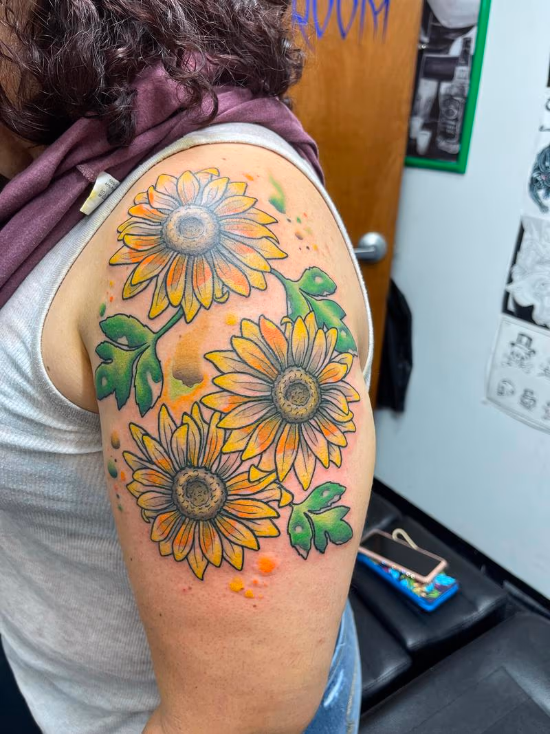 Sun water flower colors