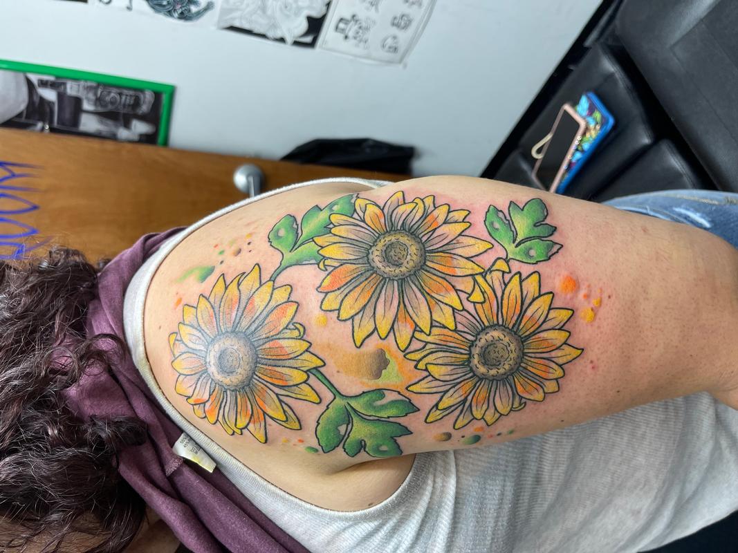 Sun water flower colors