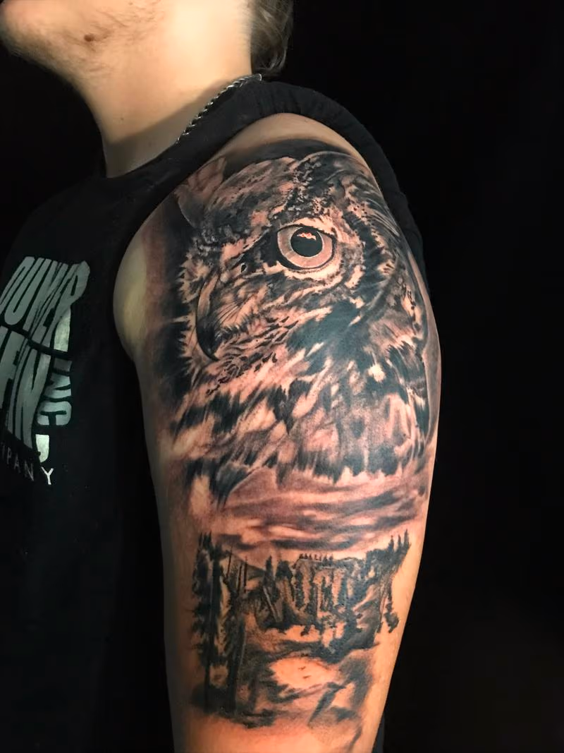 Owl