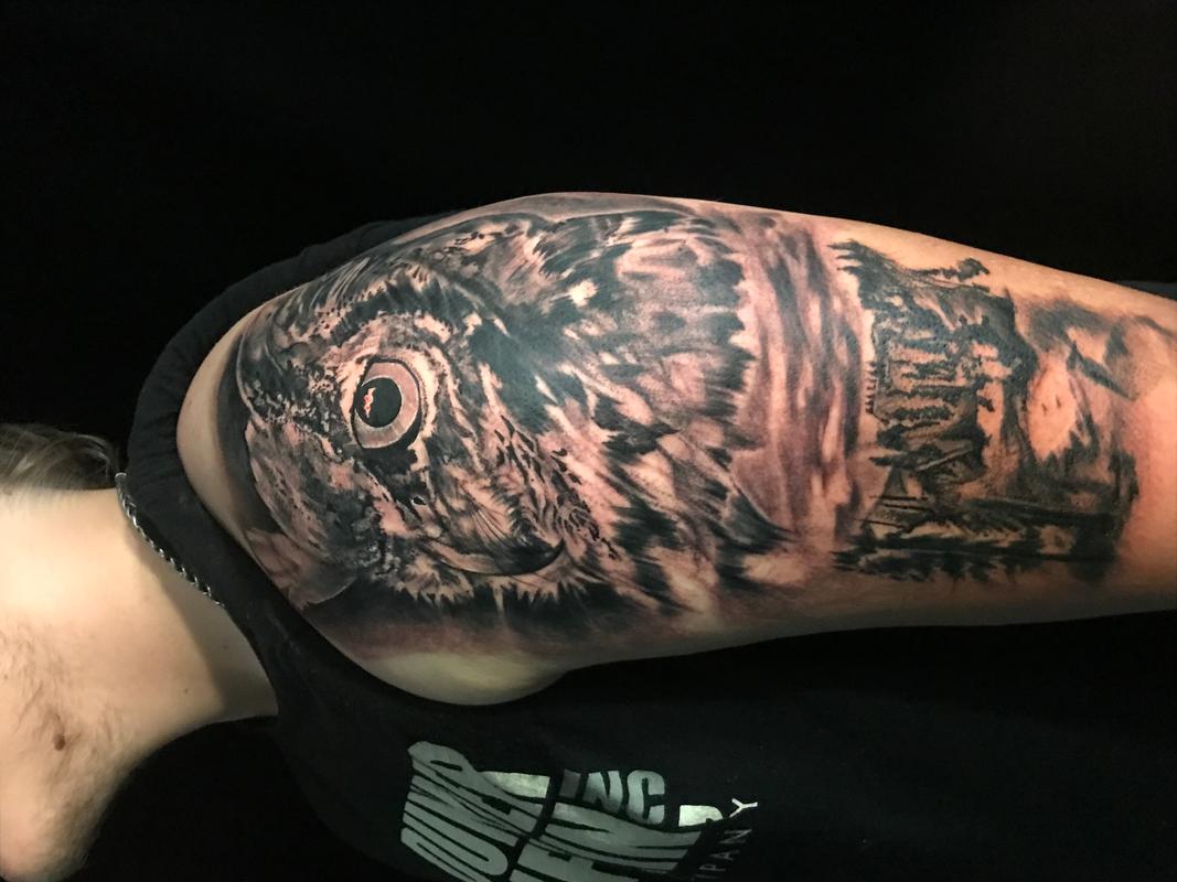 Owl
